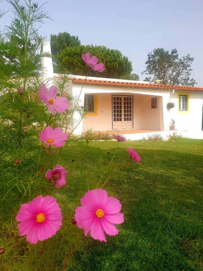 Sondela Self Catering Villa São Martinho do Porto Exterior photo