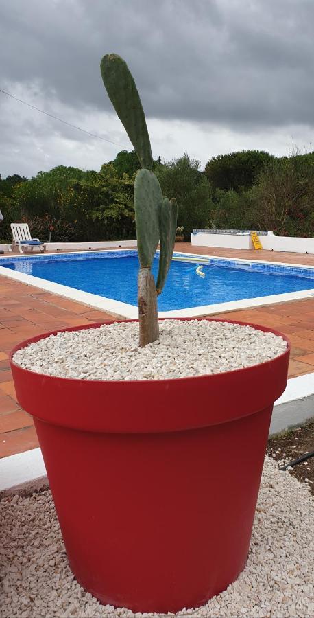 Sondela Self Catering Villa São Martinho do Porto Exterior photo